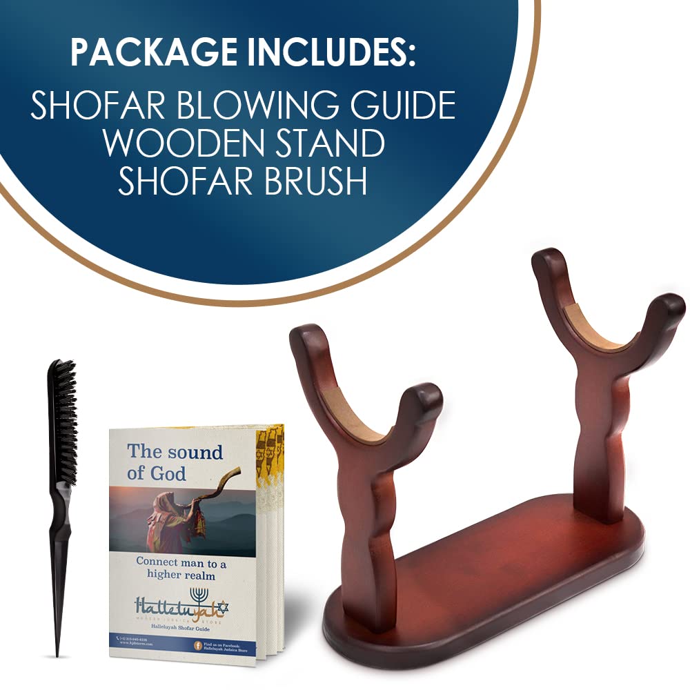 Amazon.com: HalleluYAH Set of Shofar Stand - with Cleaning Brush